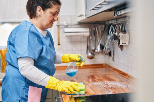 نوعية العمالة الساعدة في الجميلية