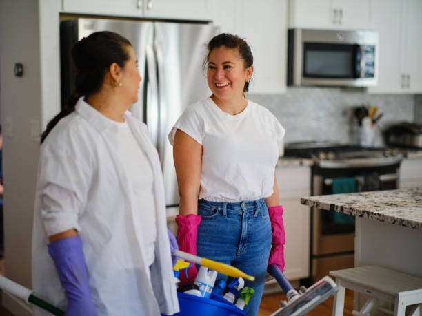 أنواع الخادمات